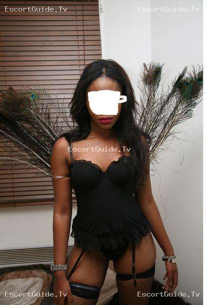 stephiescort