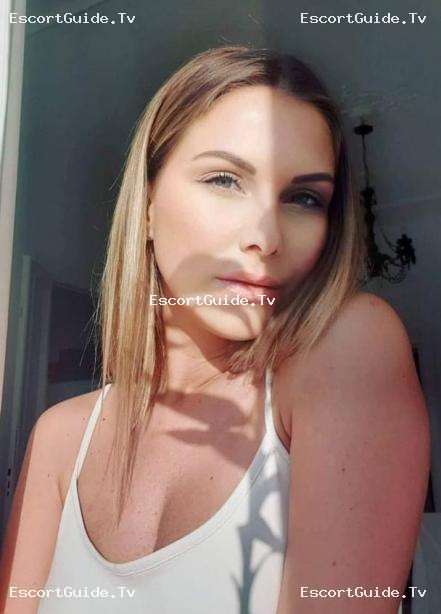 Elk_sf