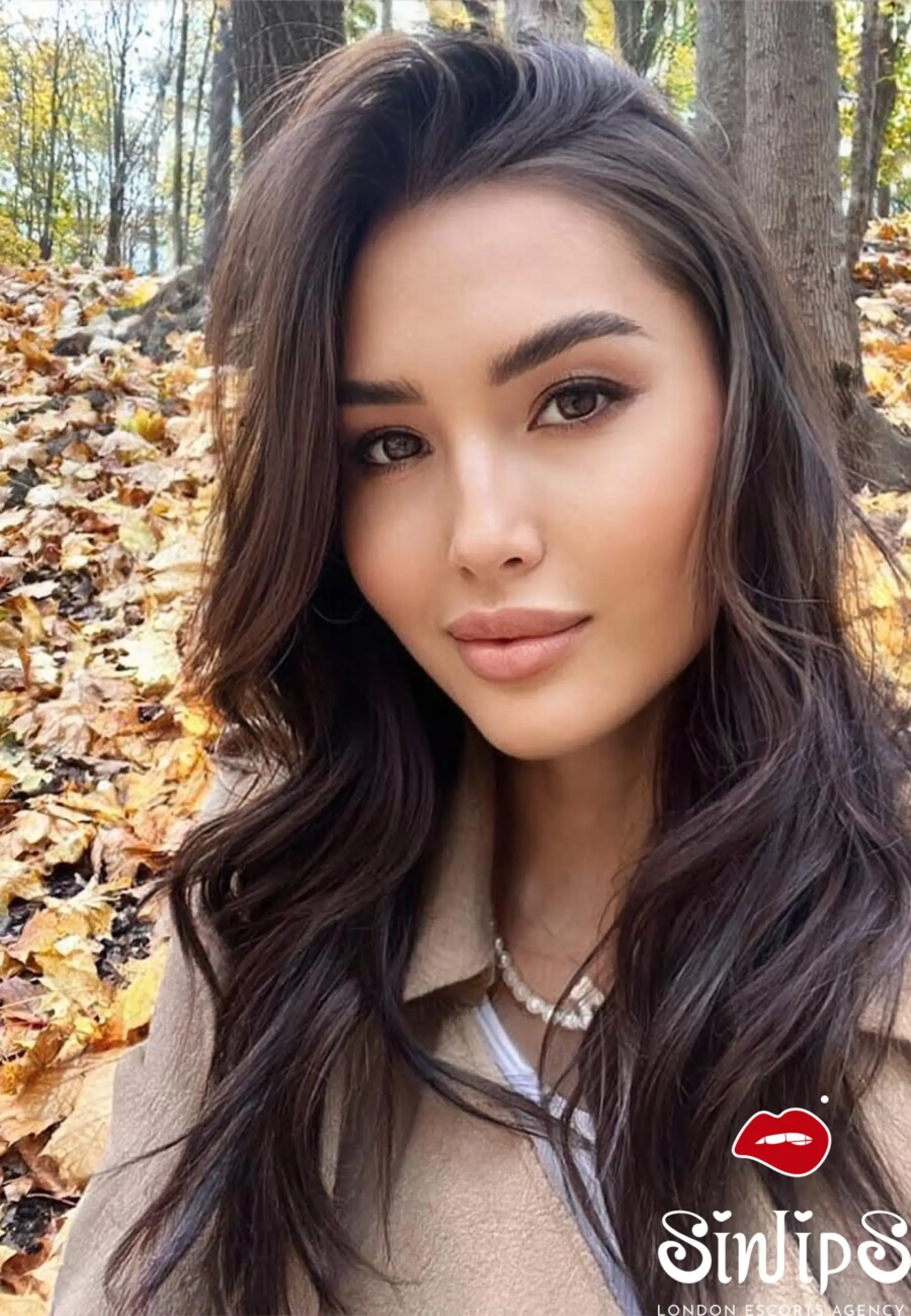Geisha