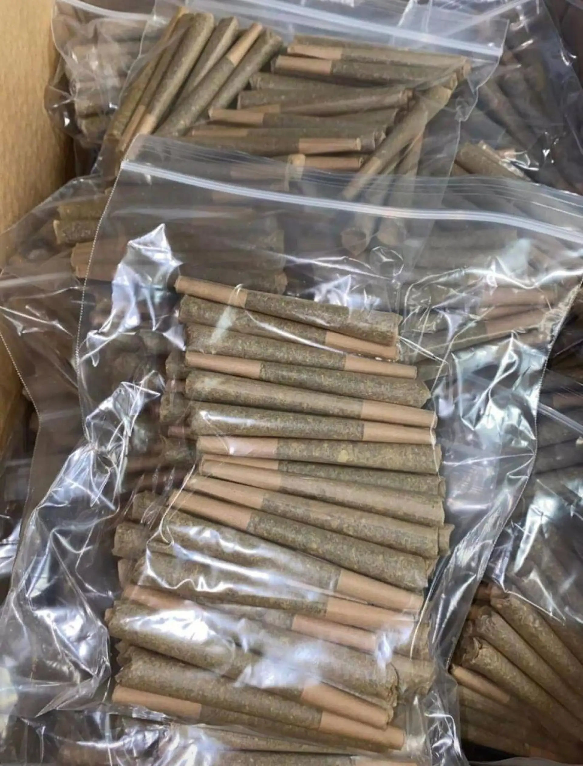 CHEMS DISPONIBLE 33780958128